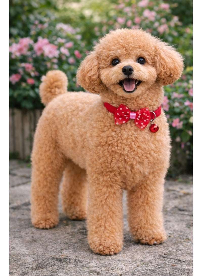Petto Adjustable Red Dot Print Bowknot Pet Collar with Bell – Cute Necklace for Small Dogs - Image 3